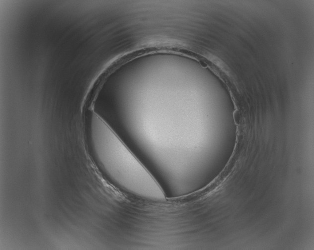 X0000074231022200608250811