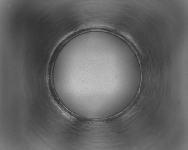 X0000074231024200608250811