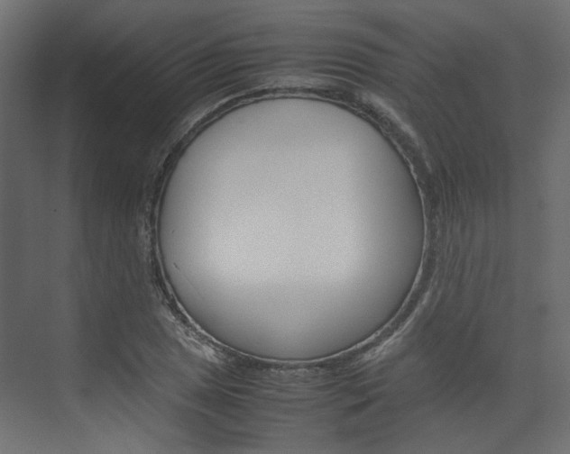 X0000074231025200608250811