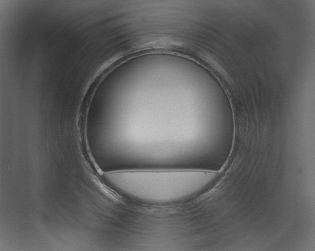 X0000074231026200608250811
