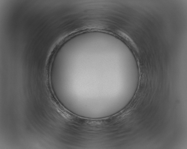 X0000074231027200608250811