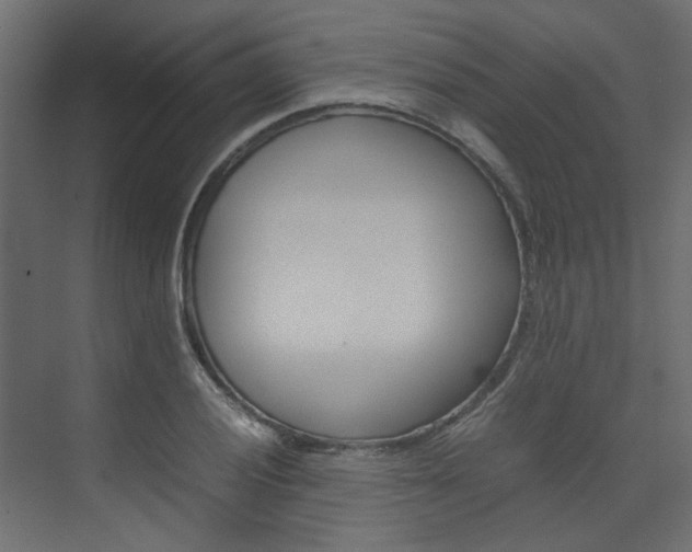 X0000074231028200608250811