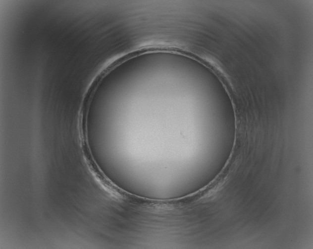 X0000074231030200608250811