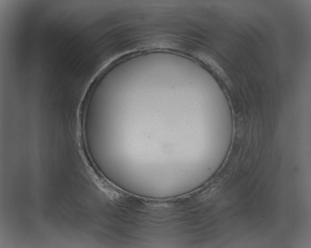 X0000074231031200608250811