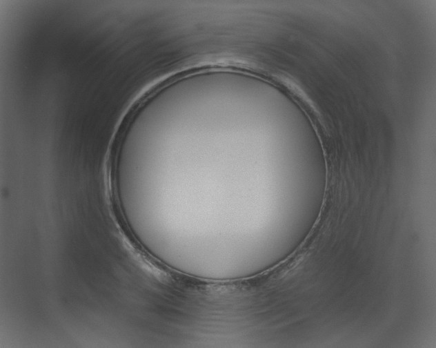 X0000074231032200608250811
