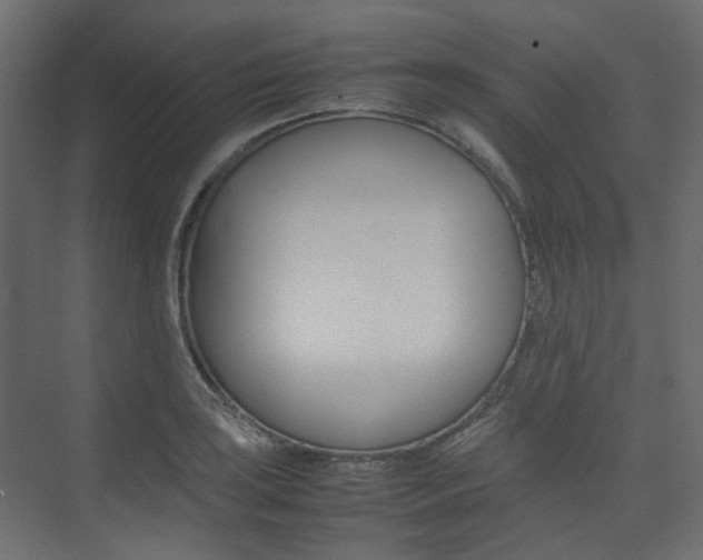 X0000074231035200608250811