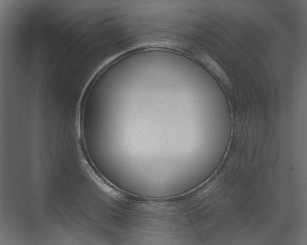 X0000074231036200608250811