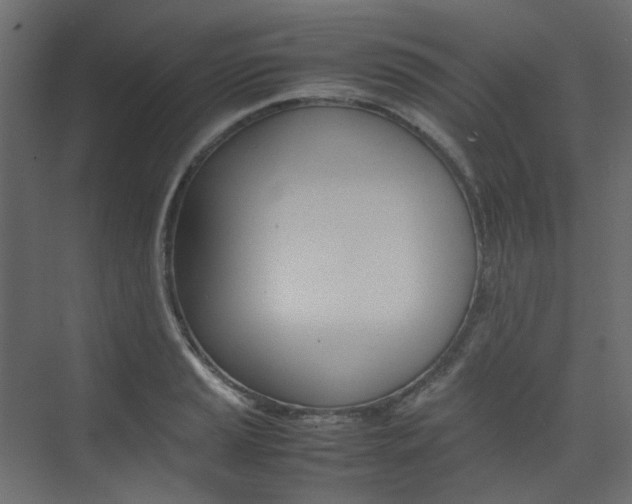 X0000074231037200608250811