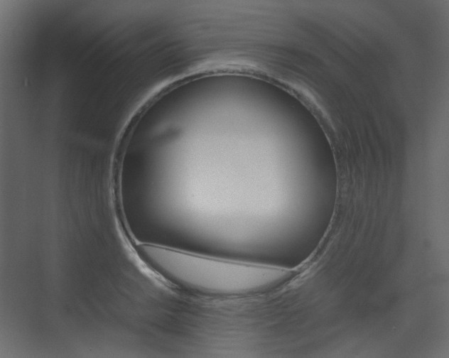 X0000074231038200608250811