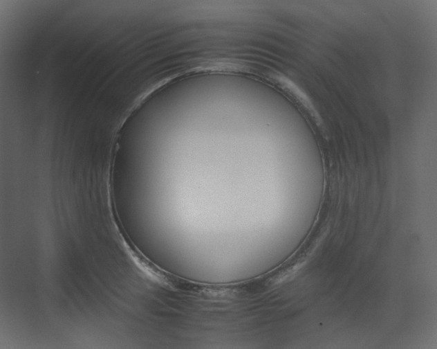 X0000074231041200608250811