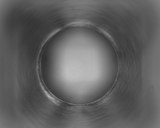 X0000074231042200608250811
