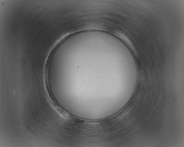 X0000074231043200608250811
