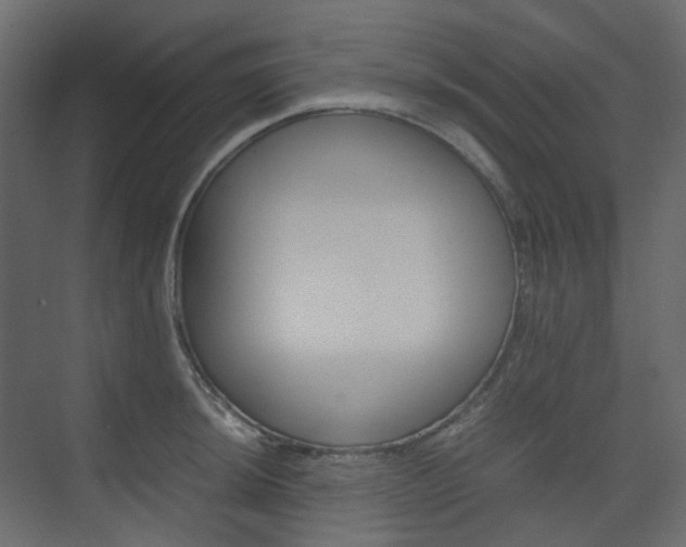 X0000074231044200608250811