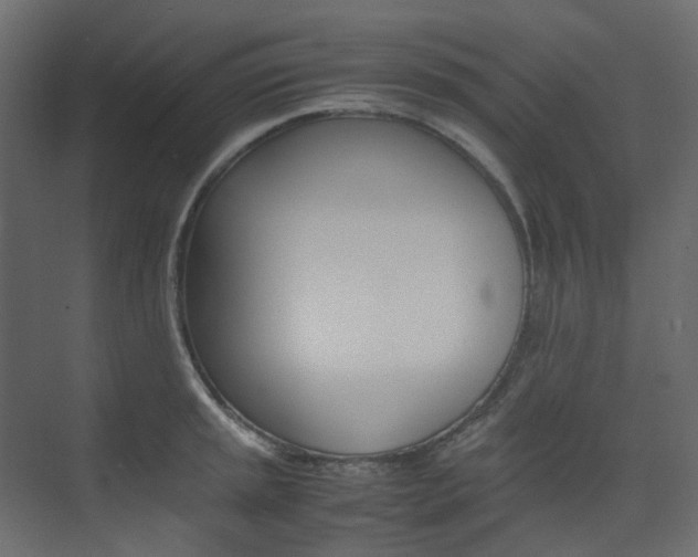 X0000074231045200608250811