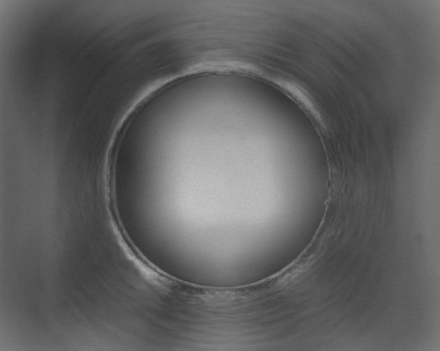 X0000074231046200608250811