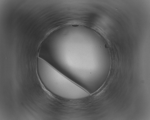 X0000074231049200608250811