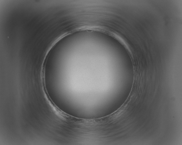 X0000074231050200608250811