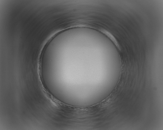 X0000074231051200608250811