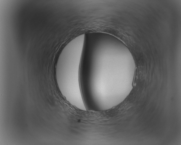 X0000074231057200608250810