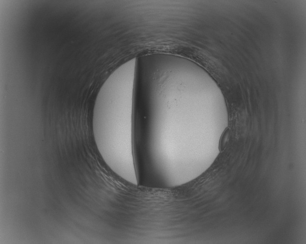 X0000074231058200608250810