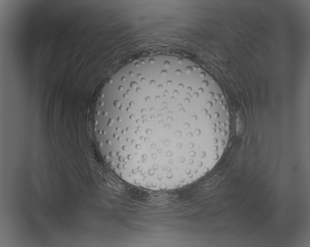 X0000074231059200608250810