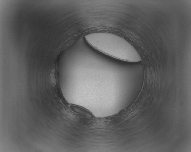 X0000074231060200608250810