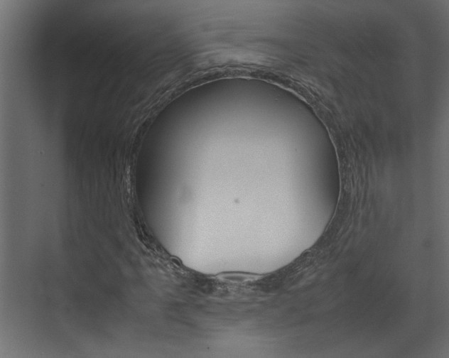 X0000074231061200608250810