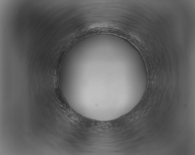 X0000074231062200608250810