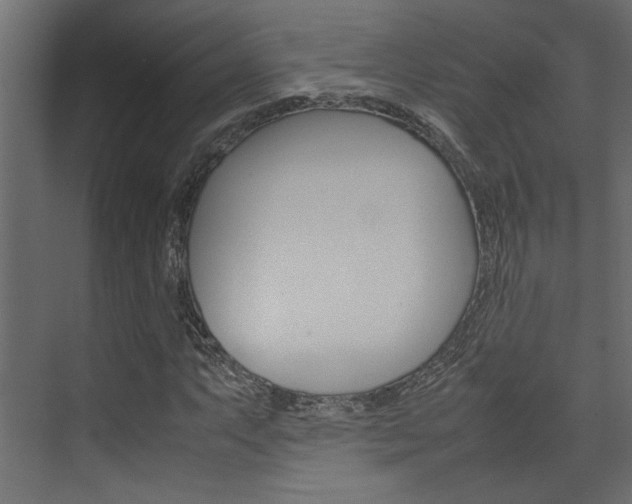 X0000074231063200608250810