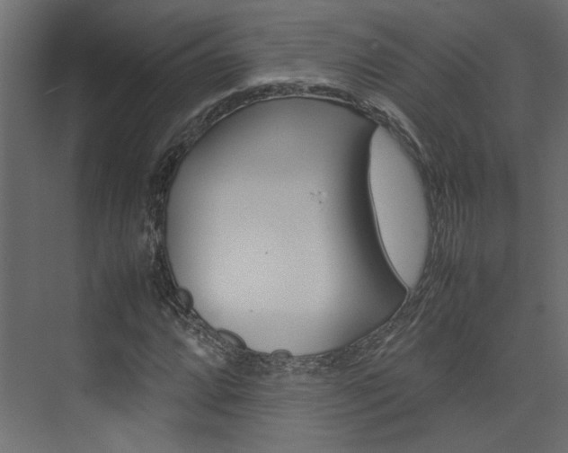 X0000074231064200608250810