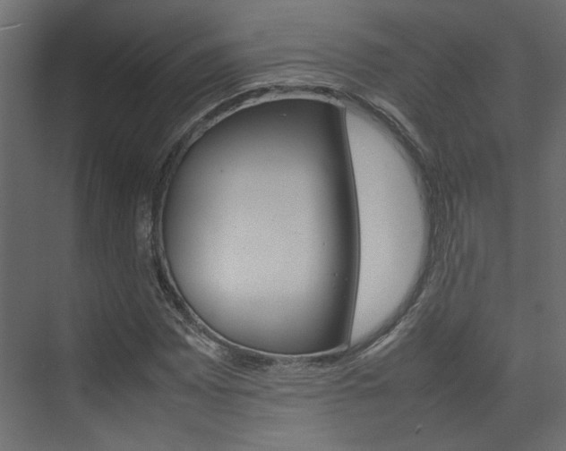 X0000074231065200608250810