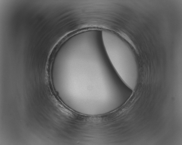 X0000074231068200608250810