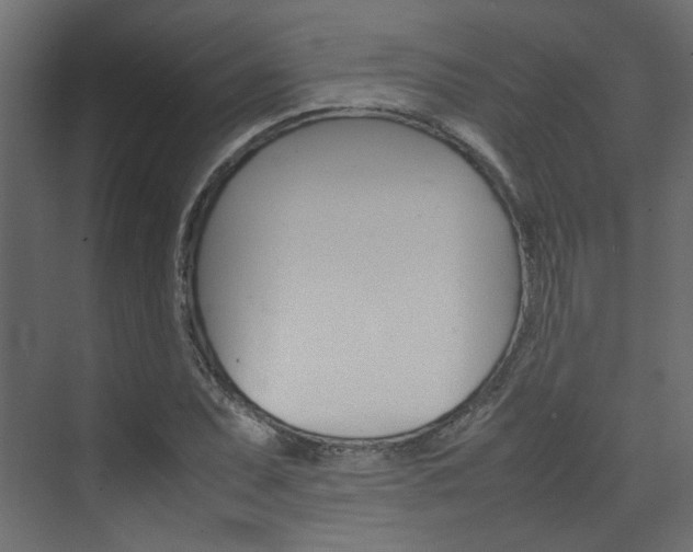 X0000074231071200608250810