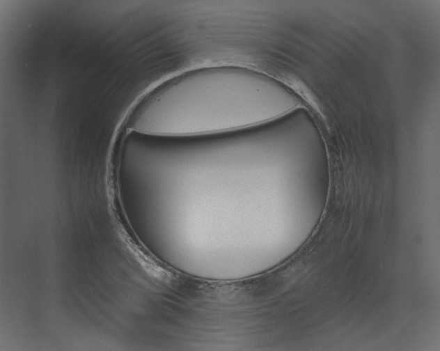 X0000074231072200608250810