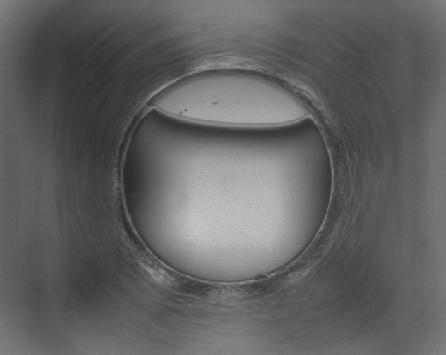 X0000074231073200608250810