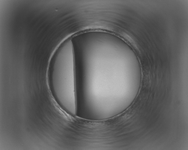 X0000074231076200608250810