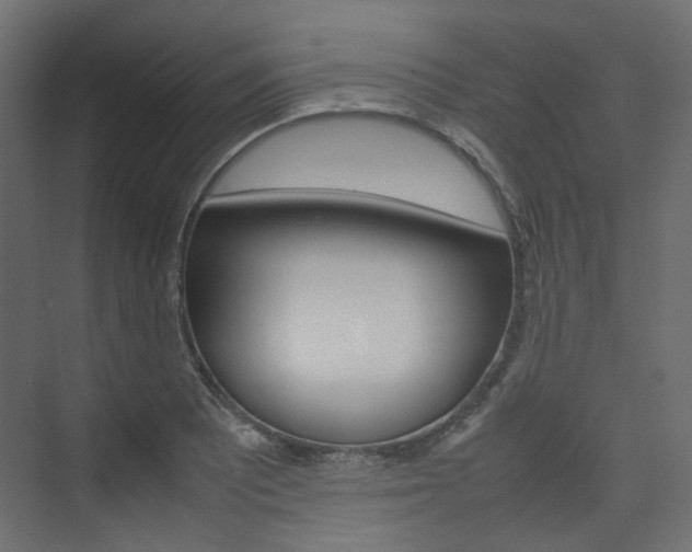 X0000074231081200608250810