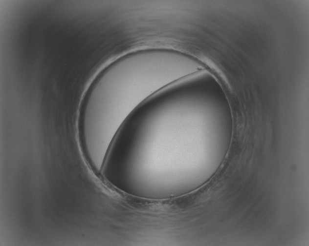 X0000074231085200608250810