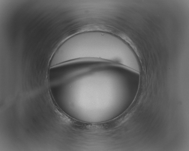 X0000074231089200608250810