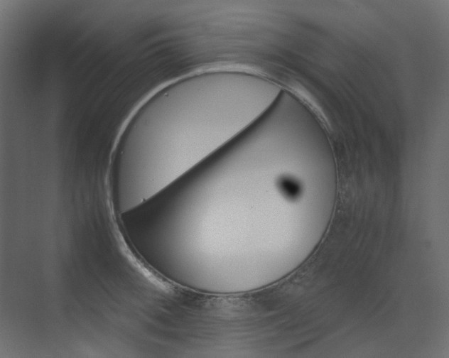 X0000074231092200608250810