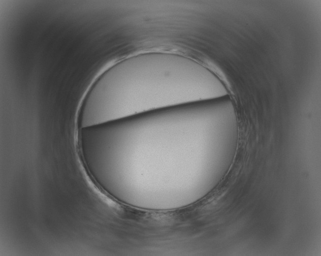 X0000074231095200608250810