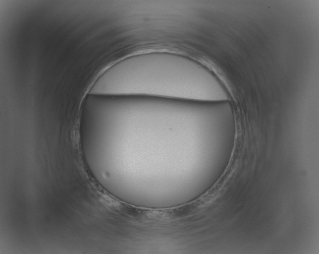 X0000074231097200608250810