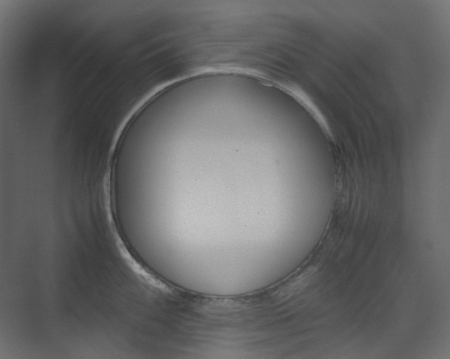 X0000074231100200608250810