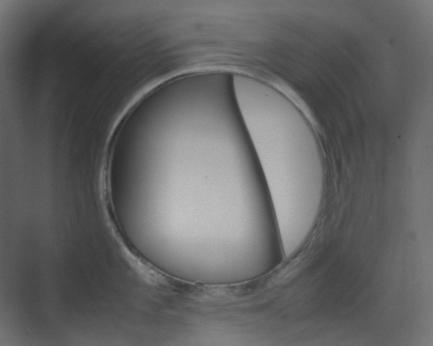 X0000074231101200608250810