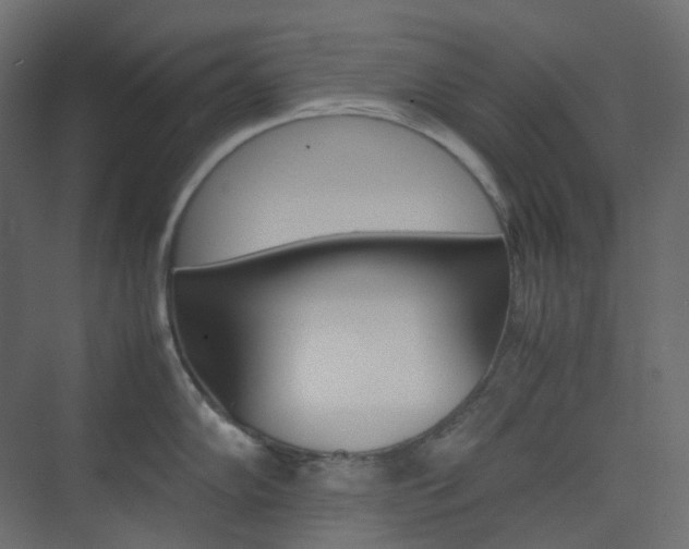 X0000074231102200608250810
