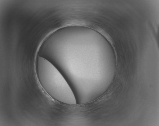 X0000074231104200608250810