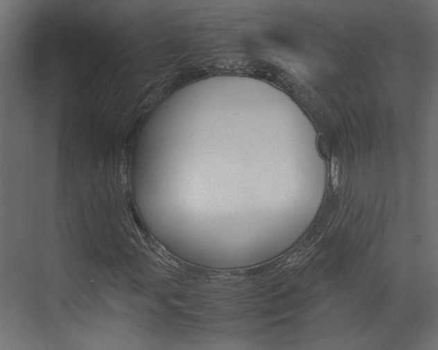X0000074231107200608250809