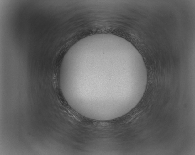 X0000074231109200608250809