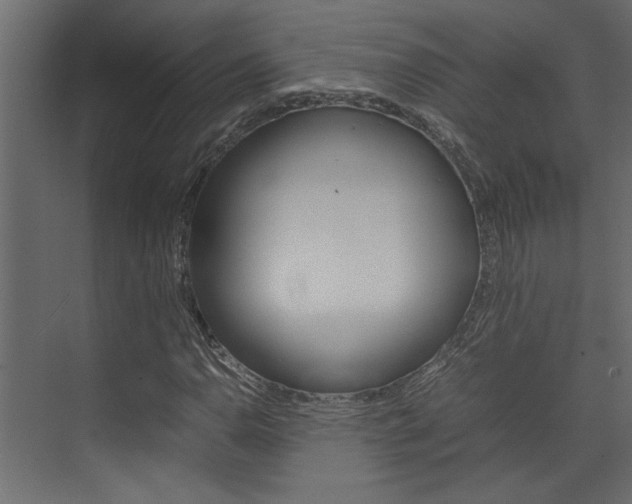 X0000074231110200608250809