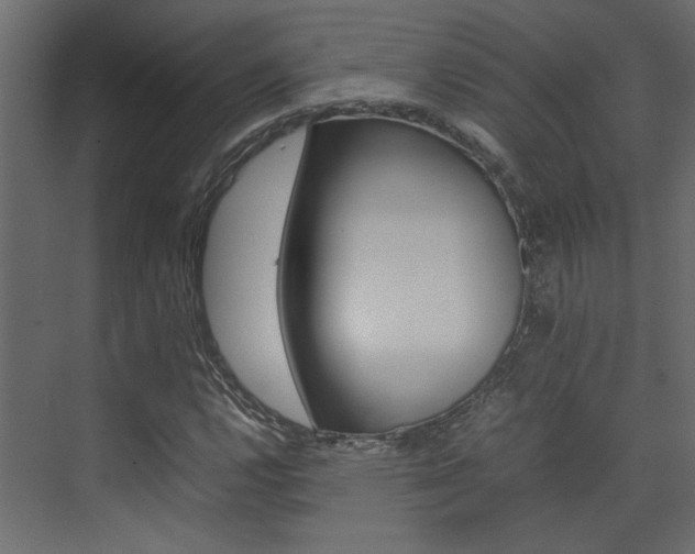 X0000074231112200608250809